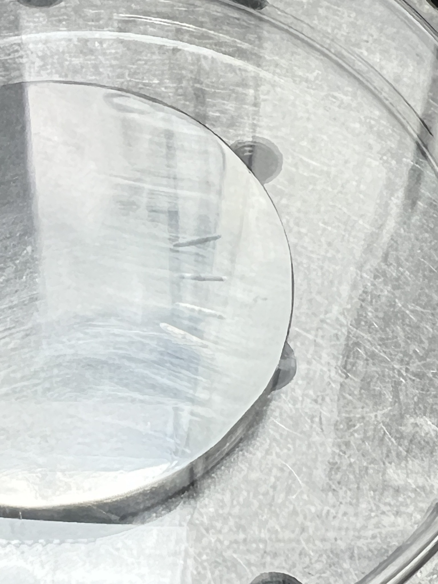 Macro image of surface finish and wear